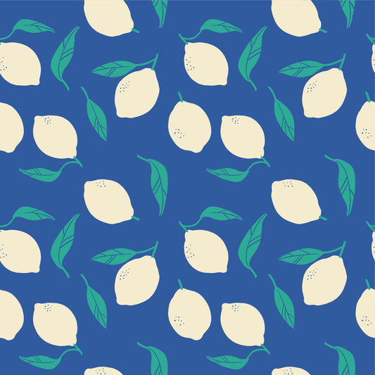 MARINA - Children's one-piece swimsuit with long sleeves and UV protection (UPF 50+) - kittens